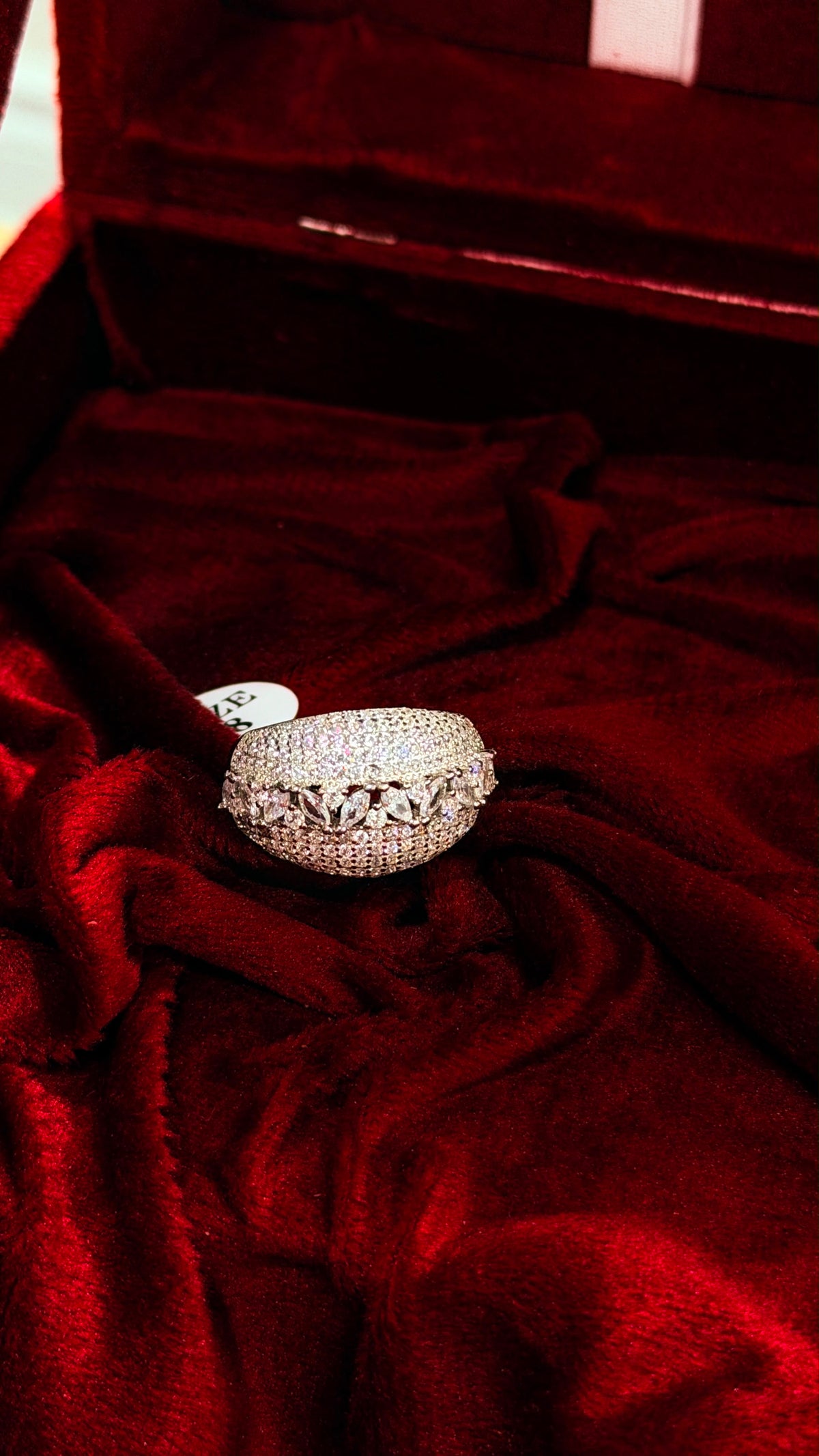 Pure Silver Women Ring WR0086