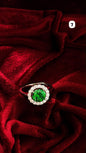 Pure Silver Women Ring WR0106